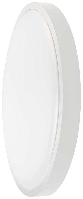 Weiße, ovale Wandlampe mit schlichtem Design. Sie hat eine gleichmäßige, diffuse Lichtverteilung und passt in moderne Innenräume.