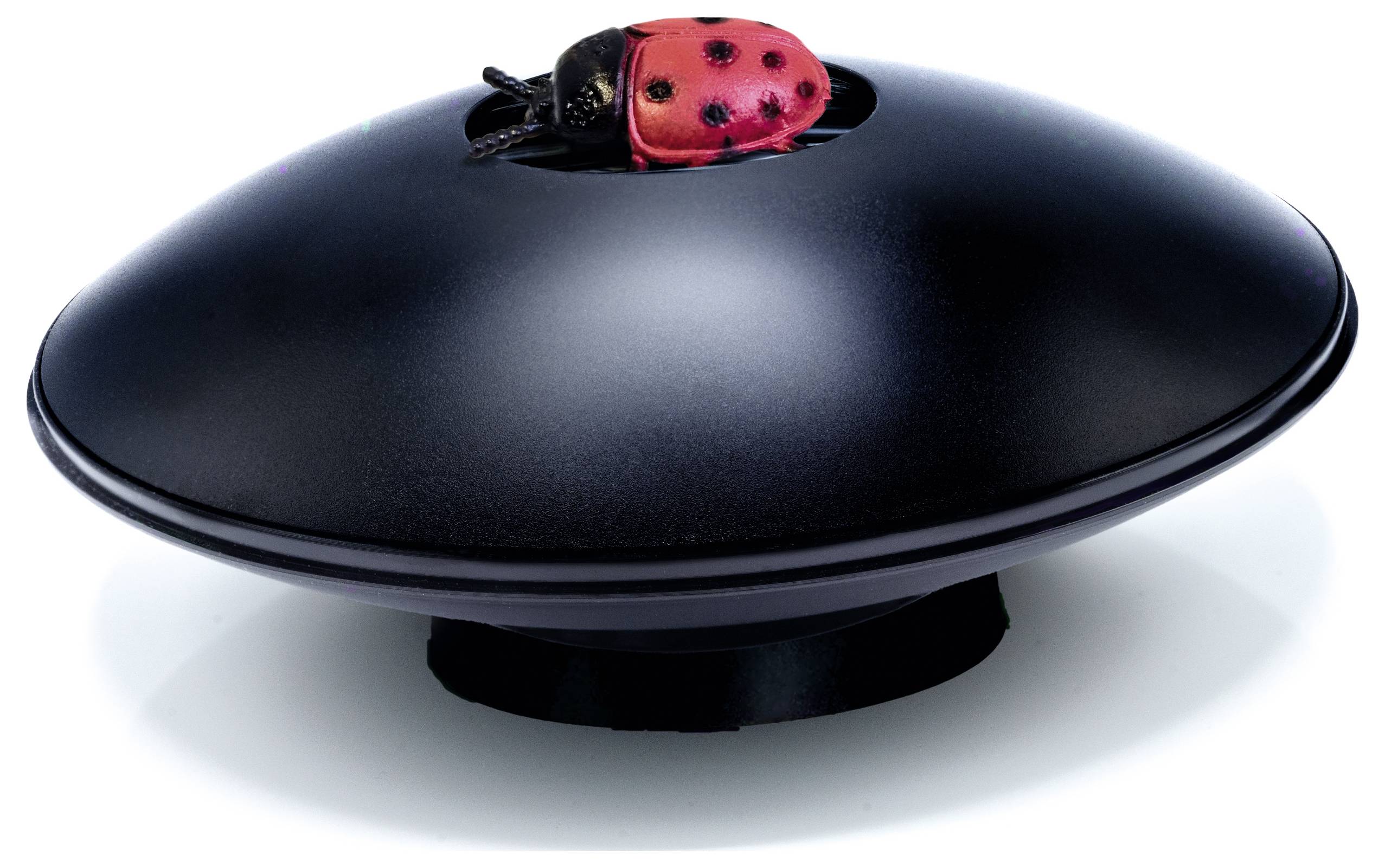 Schwarzer, runder Stifthalter mit einem roten Marienkäfer-Clip auf der Oberseite als Dekoration.