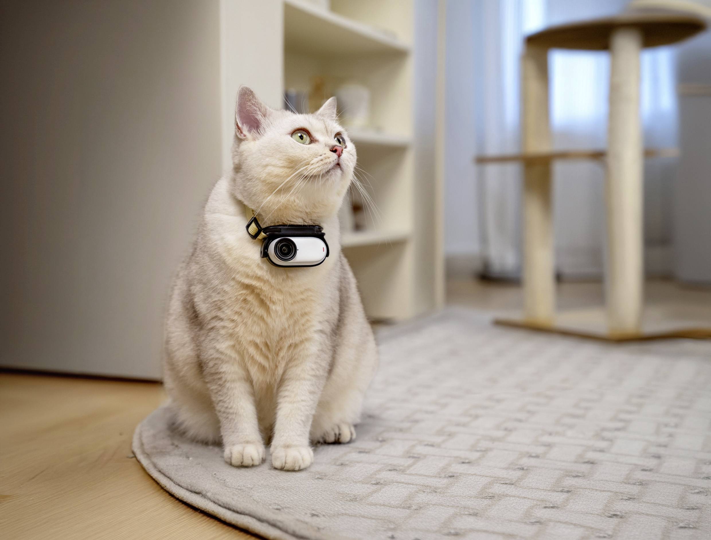 Insta360 GO 3S (64GB) Midnight Black Action Cam 4K, Bluetooth, Bildstabilisierung, Mini-Kamera, Spritzwassergeschützt, Touch-Screen, Wasserfest