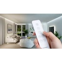 Paulmann 50141 ZB Basic Remote Control Home Fernbedienung Weiß Paulmann 50141 ZB Basic Remote Control Home Fernbedienung Weiß