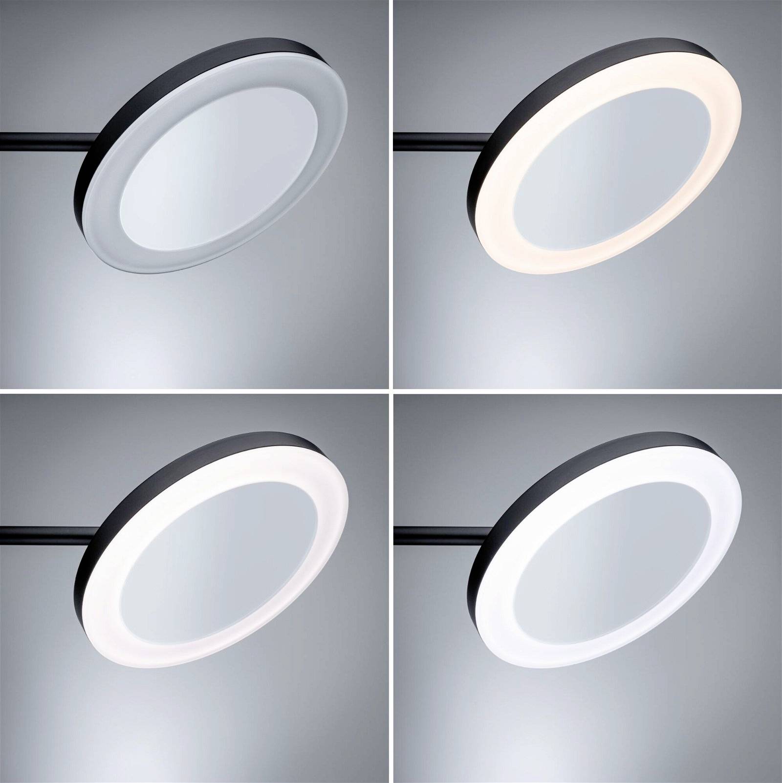 Paulmann Masua 71149 LED-Spiegelleuchte 4 W Warmweiß Schwarz (matt)