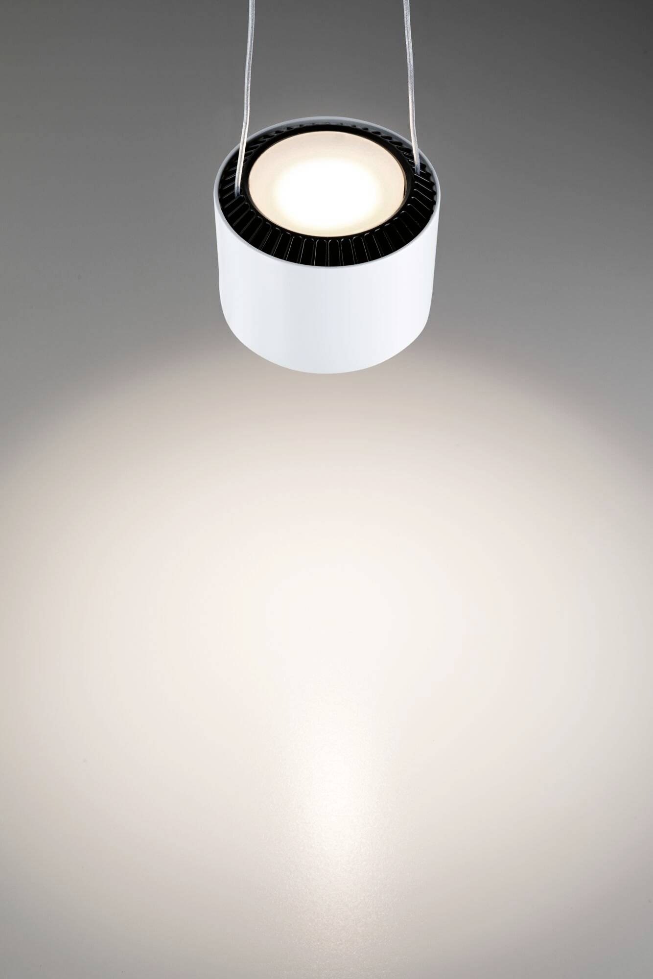 Paulmann Aldan Hochvolt-Schienensystem-Leuchte URail 8.5W Signal-Weiß