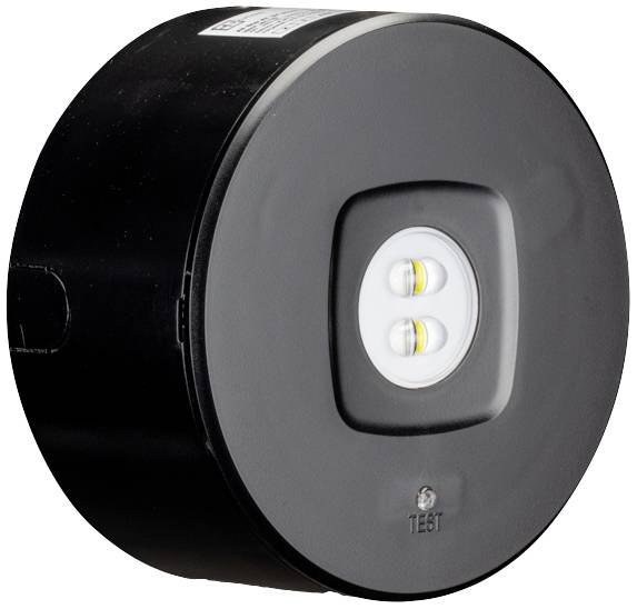 H1 Solutions 1004 Sicherheitsleuchte Deckeneinbaumontage, Deckenaufbaumontage