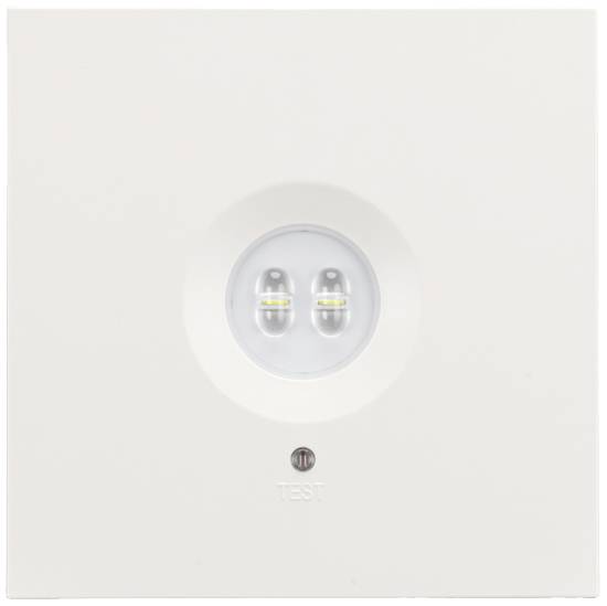 H1 Solutions 1045 Sicherheitsleuchte Deckenaufbaumontage