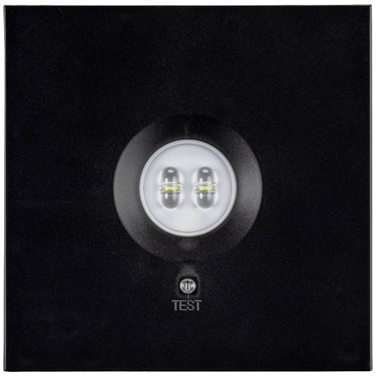 H1 Solutions 1046 Sicherheitsleuchte Deckenaufbaumontage