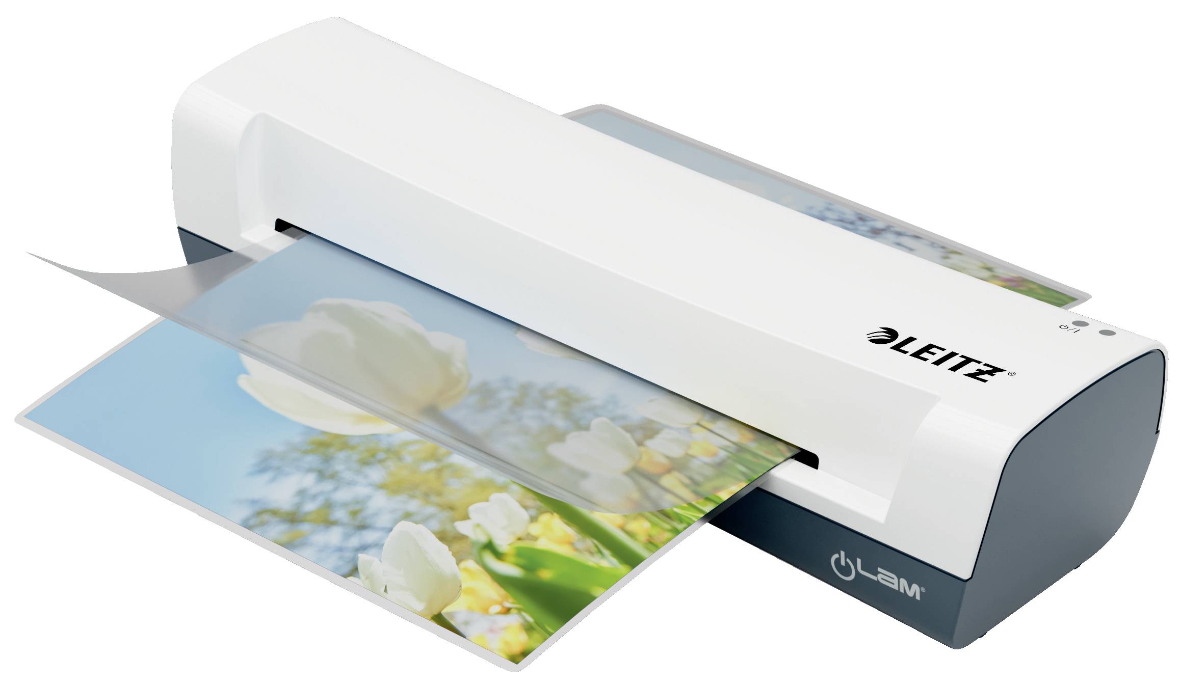 Ein Laminiergerät der Marke Leitz, das ein Foto von weißen Tulpen laminiert. Das Gerät ist weiß mit einem dunkelgrauen Rand.