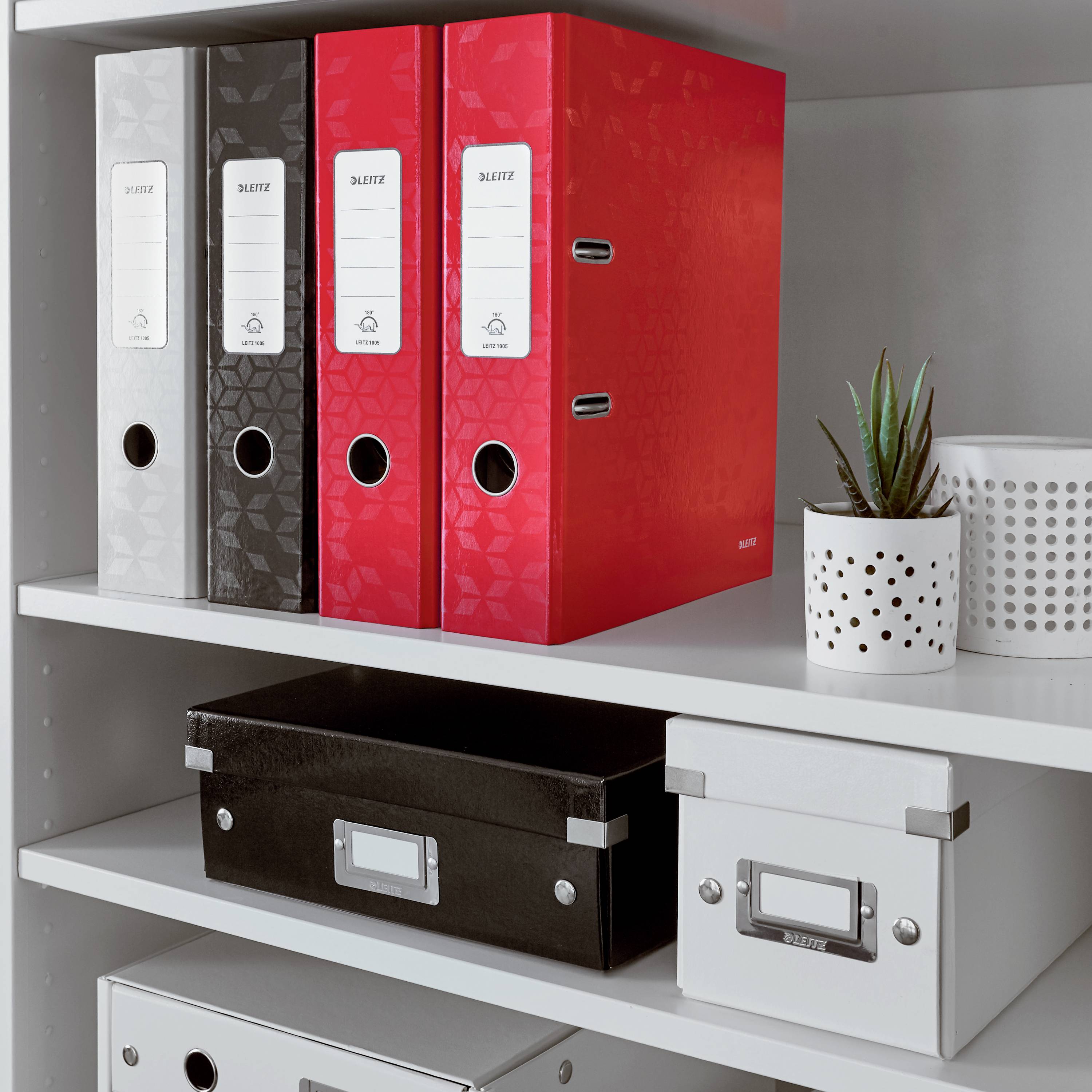 Zwei Regale mit Aktenordnern in Rot und Grau, daneben schwarze und weiße Aufbewahrungskisten. Eine Pflanze dekoriert das Regal.