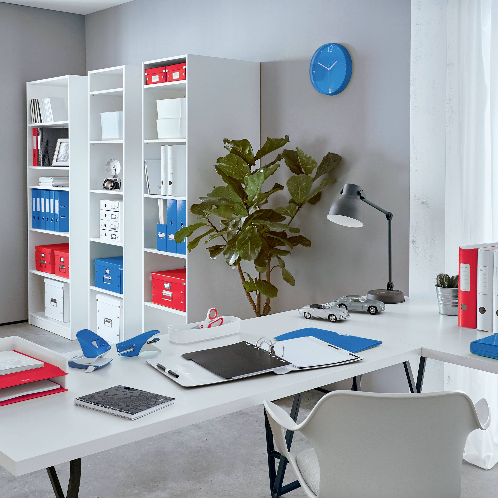 Moderner, gut organisierter Büroarbeitsplatz mit weißem Schreibtisch, blauer Uhr an der Wand, Pflanzen und roten sowie blauen Ordnern im Regal.
