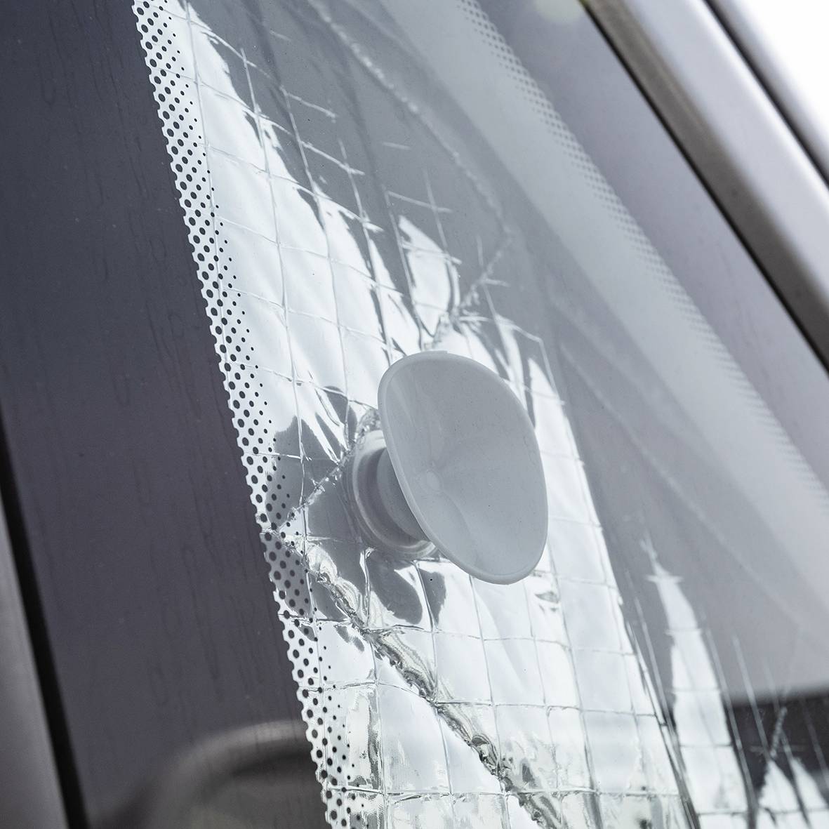 ProPlus 610688 Sonnenschutz Passend für (Auto-Marke): Fiat, Peugeot, Citroen