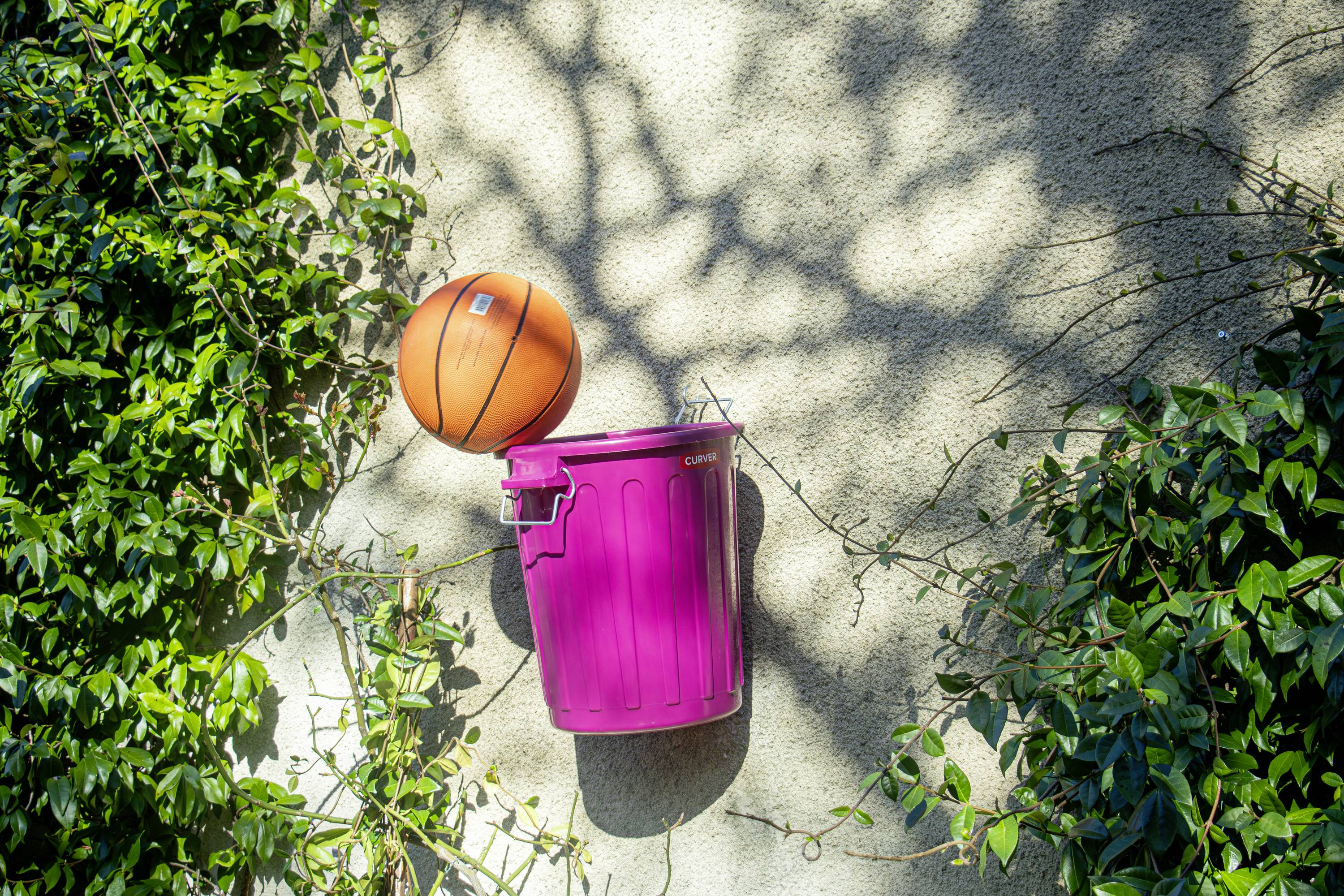 Curver 259602 Aufbewahrungsbox Oscar 75 Jahre-Edition Türkisblau 1St.