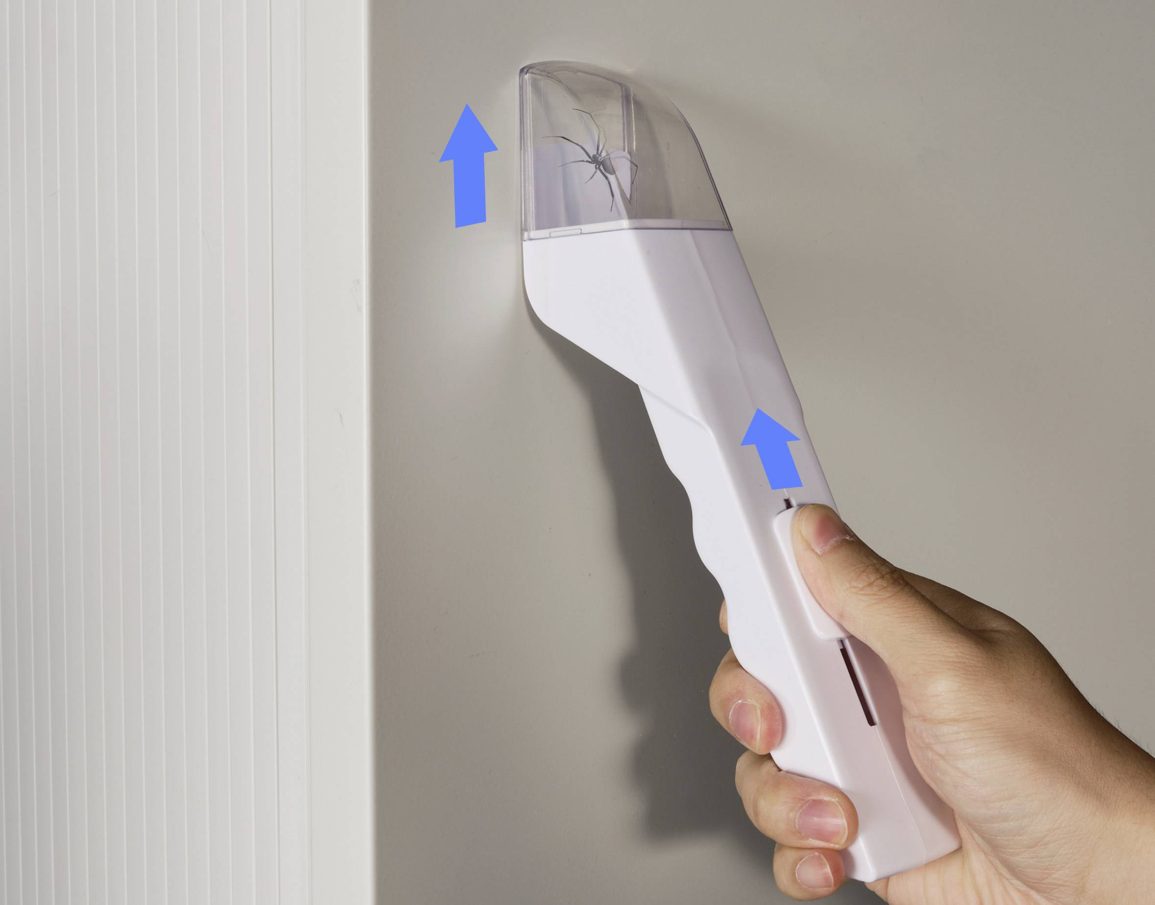 Eine Hand hält ein weißes Gerät mit einer eingeklemmten Spinne unter einem klaren Kunststoffkopf. Zwei blaue Pfeile zeigen nach oben.