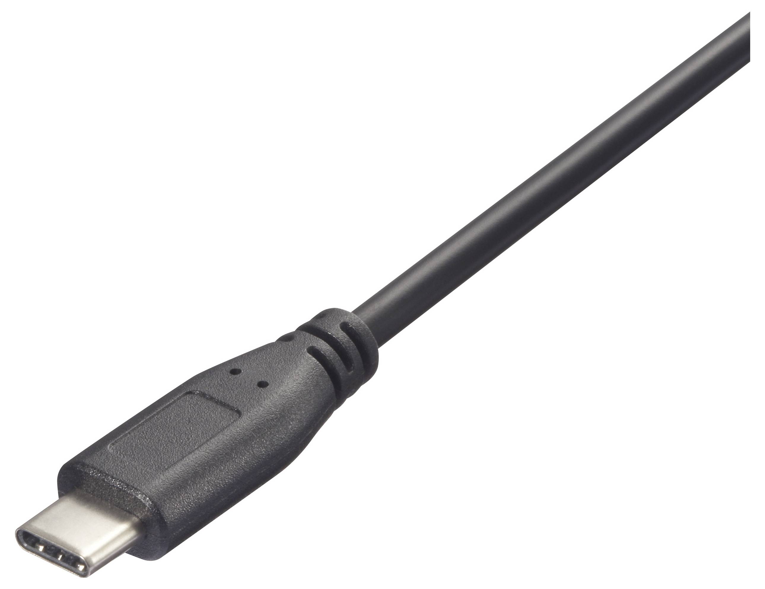 USB-C-Kabel, schwarzer Stecker auf weißem Hintergrund. Kabel zeigt einen Standardanschluss für schnelle Datenübertragung und Laden.