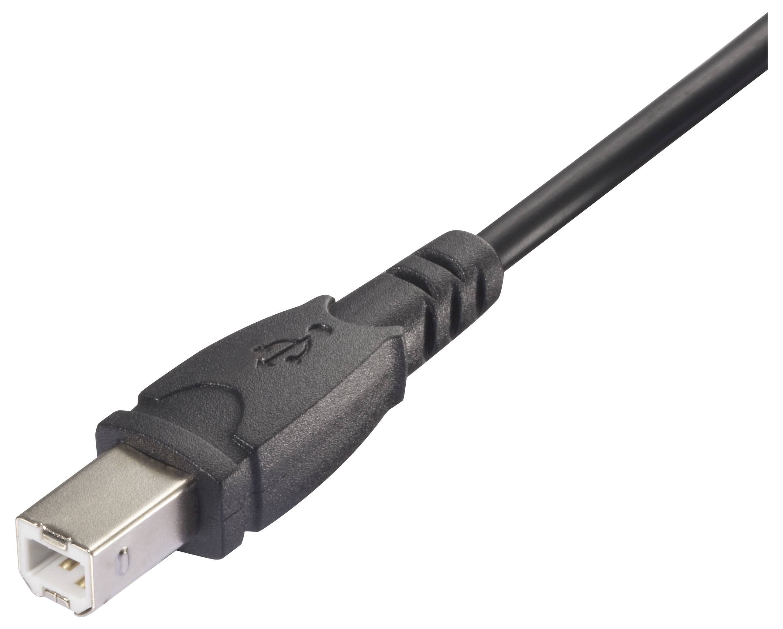 Nahaufnahme eines quadratischen USB-Kabelsteckers mit schwarzem Kabel, oft für Drucker und Scanner verwendet.