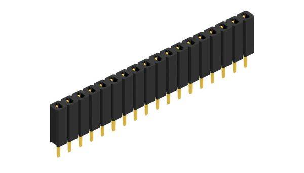 Fischer Elektronik Buchsenleiste (Standard) Anzahl Reihen: 1 10025447 10St.