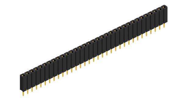 Fischer Elektronik Buchsenleiste (Standard) Anzahl Reihen: 1 10025479 10St.