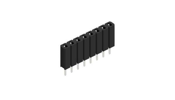 Fischer Elektronik Buchsenleiste (Standard) Anzahl Reihen: 1 10025425 10St.