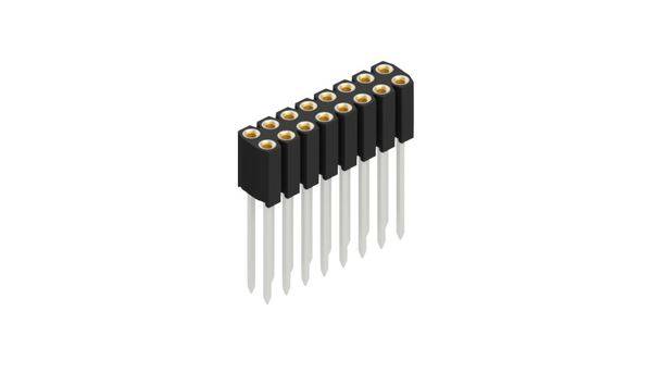 Fischer Elektronik Buchsenleiste (Präzision) Anzahl Reihen: 2 10025494 10St.