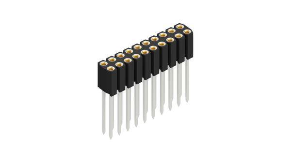 Fischer Elektronik Buchsenleiste (Präzision) Anzahl Reihen: 2 10025496 10St.
