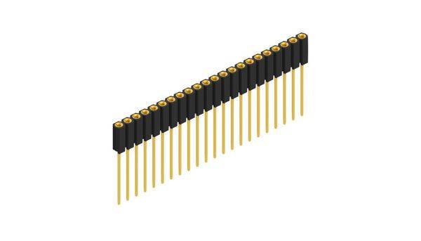 Fischer Elektronik Buchsenleiste (Präzision) Anzahl Reihen: 1 10025828 10St.