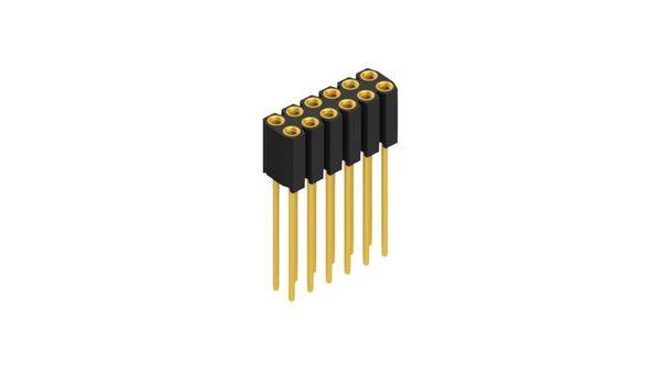 Fischer Elektronik Buchsenleiste (Präzision) Anzahl Reihen: 2 10025840 10St.