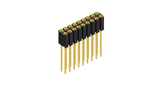 Fischer Elektronik Buchsenleiste (Präzision) Anzahl Reihen: 2 10025843 10St.