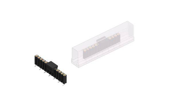Fischer Elektronik Buchsenleiste (Präzision) Anzahl Reihen: 1 10025901 10St.