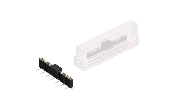 Fischer Elektronik Buchsenleiste (Präzision) Anzahl Reihen: 1 10025943 10St.