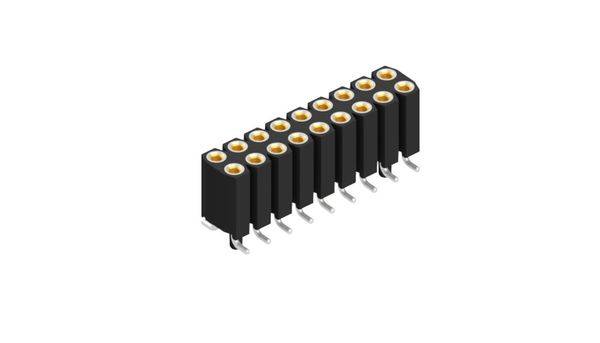 Fischer Elektronik Buchsenleiste (Präzision) Anzahl Reihen: 2 10026007 10St.