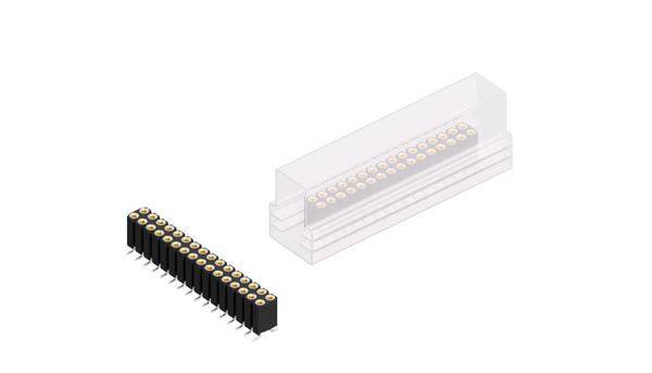 Fischer Elektronik Buchsenleiste (Präzision) Anzahl Reihen: 2 10026056 10St.