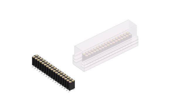 Fischer Elektronik Buchsenleiste (Präzision) Anzahl Reihen: 2 10026062 10St.