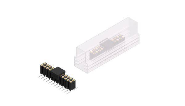 Fischer Elektronik Buchsenleiste (Präzision) Anzahl Reihen: 2 10026119 10St.