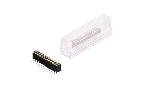 Fischer Elektronik Buchsenleiste (Präzision) Anzahl Reihen: 2 10026123 10St.