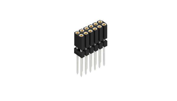 Fischer Elektronik Buchsenleiste (Präzision) Anzahl Reihen: 2 10026258 10St.