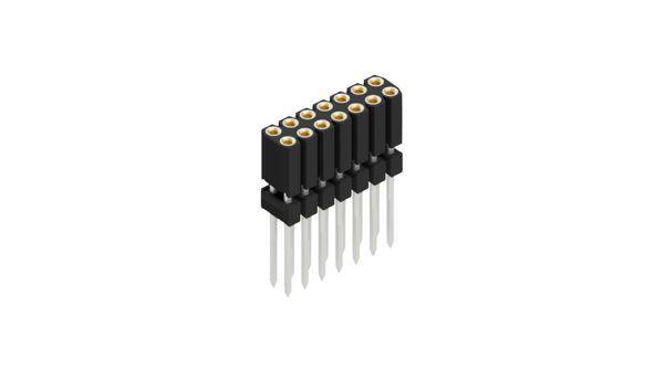 Fischer Elektronik Buchsenleiste (Präzision) Anzahl Reihen: 2 10026259 10St.