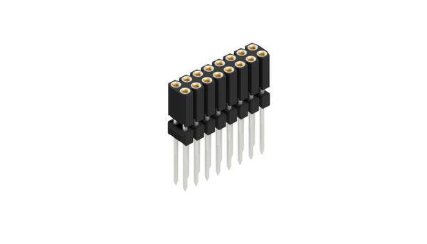 Fischer Elektronik Buchsenleiste (Präzision) Anzahl Reihen: 2 10026260 10St.