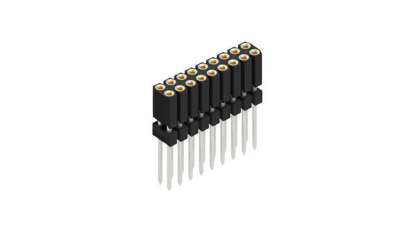 Fischer Elektronik Buchsenleiste (Präzision) Anzahl Reihen: 2 10026261 10St.