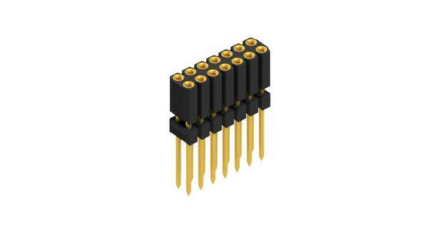 Fischer Elektronik Buchsenleiste (Präzision) Anzahl Reihen: 2 10026295 10St.