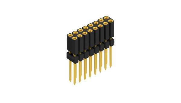 Fischer Elektronik Buchsenleiste (Präzision) Anzahl Reihen: 2 10026296 10St.