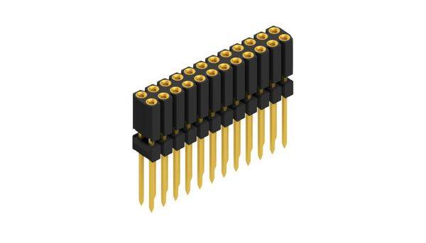 Fischer Elektronik Buchsenleiste (Präzision) Anzahl Reihen: 2 10026300 10St.