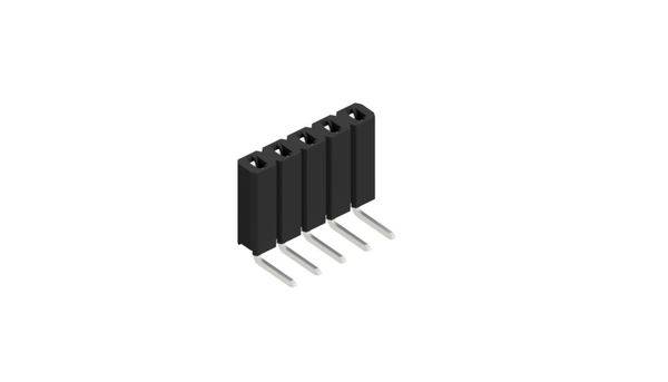 Fischer Elektronik Buchsenleiste (Standard) Anzahl Reihen: 1 10026513 10St.