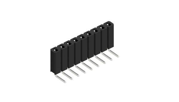 Fischer Elektronik Buchsenleiste (Standard) Anzahl Reihen: 1 10026521 10St.