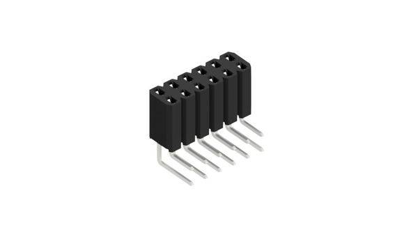 Fischer Elektronik Buchsenleiste (Standard) Anzahl Reihen: 2 10026579 10St.