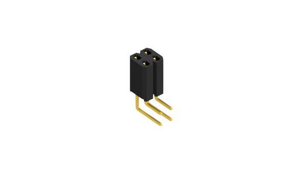 Fischer Elektronik Buchsenleiste (Standard) Anzahl Reihen: 2 10026569 10St.