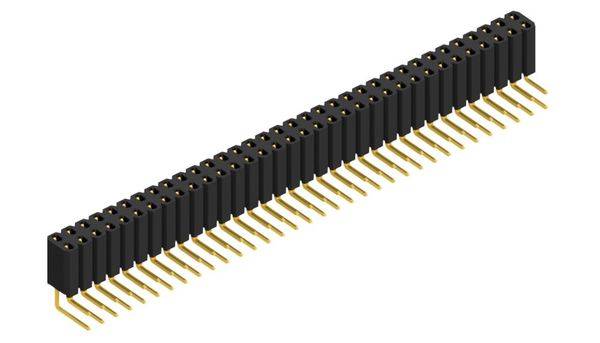 Fischer Elektronik Buchsenleiste (Standard) Anzahl Reihen: 2 10026634 10St.
