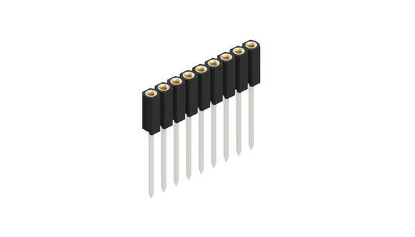 Fischer Elektronik Buchsenleiste (Präzision) Anzahl Reihen: 1 10026882 10St.