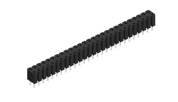 Fischer Elektronik Buchsenleiste (Standard) Anzahl Reihen: 2 10027056 10St.