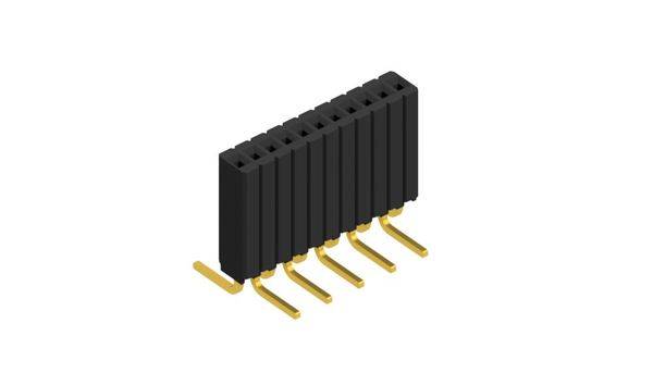 Fischer Elektronik Buchsenleiste (Standard) Anzahl Reihen: 1 10027142 10St.