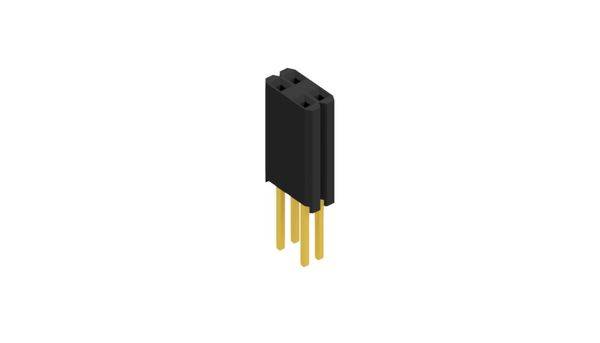 Fischer Elektronik Buchsenleiste (Standard) Anzahl Reihen: 2 10027504 10St.