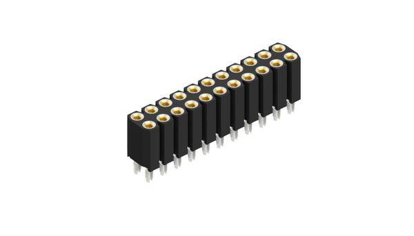Fischer Elektronik Buchsenleiste (Präzision) Anzahl Reihen: 2 10027619 10St.