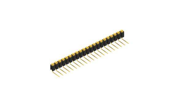 Fischer Elektronik Buchsenleiste (Präzision) Anzahl Reihen: 1 10040244 10St.